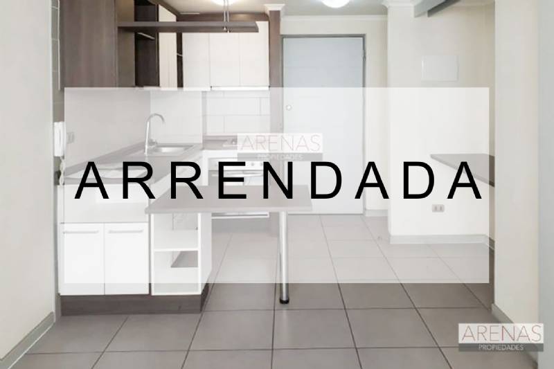 VICUA MACKENNA / ARGOMEDO